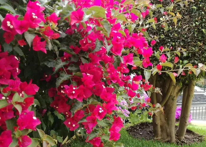 The Sun Edge House * Ponta do Sol (Madeira)