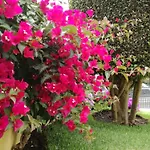 The Sun Edge House * ポンタ・ド・ソル