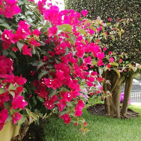 The Sun Edge House * Понта-ду-Сол