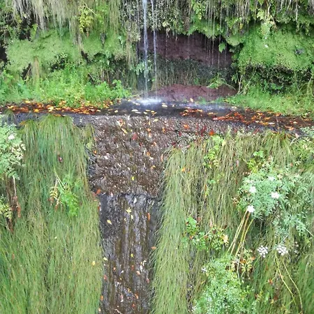 Проживание в семье The Sun Edge House