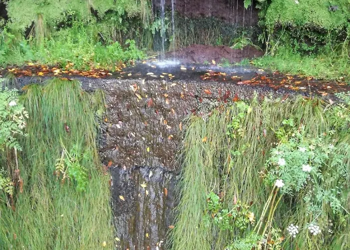 Alloggio in famiglia The Sun Edge House